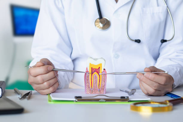 Best Dentist for Tooth Abscess  in Nashville, MI